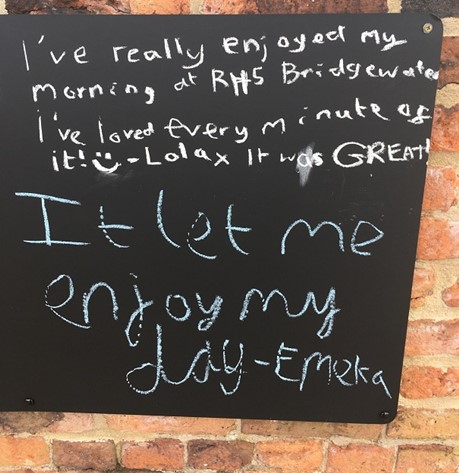 Ellenbrook Primary pupil's comments at RHS Bridgewater