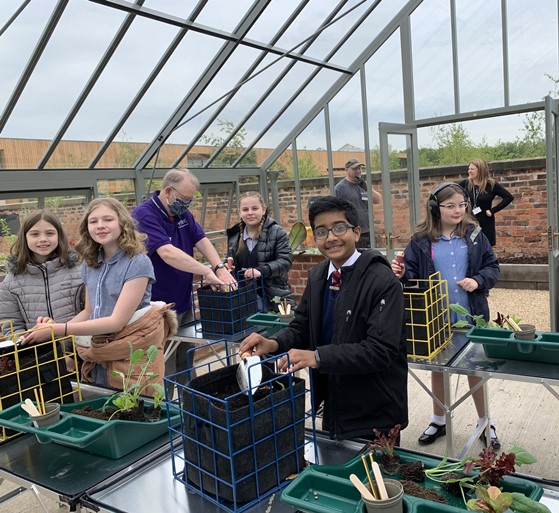 Children in a greenhouse
